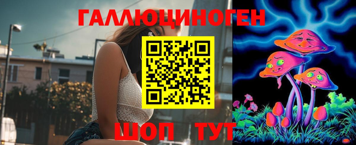 Псилоцибиновые грибы Psilocybe  Вход с VPN  Котлас 