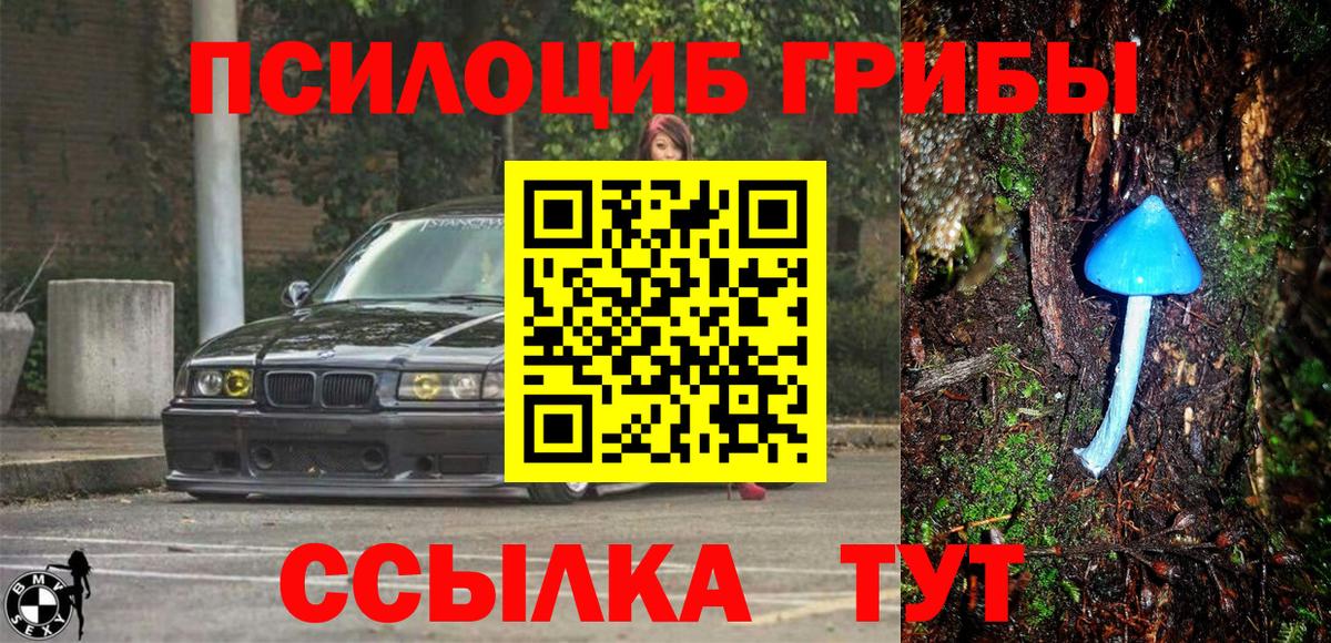 Псилоцибиновые грибы Magic Shrooms Котлас